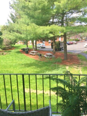 Cortland Park Grounds